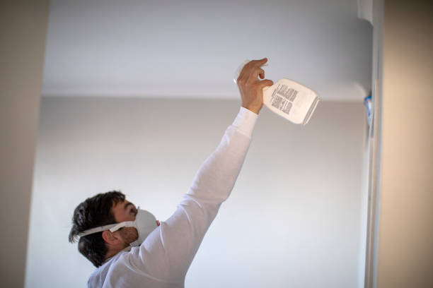 Best Crawl Space Mold Removal  in Monona, IA