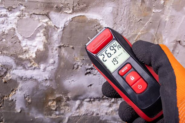 Best Attic Mold Removal  in Monona, IA