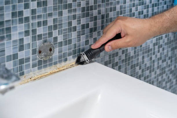 Certified Mold Removal in Monona, IA